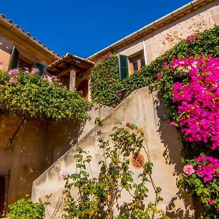 Farm stay Petit Son Perdiu - Adults Only